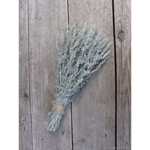 детальное фото пучок полыни "mr.venikoff" в интернет-магазине Дачный Эксперт